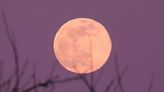 Look up tonight for the Full Pink Moon