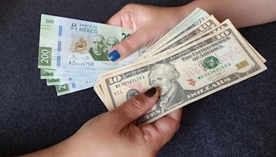 Precio del dólar abre este viernes en 19.80 pesos al mayoreo