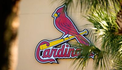 Ex-Cardinals Slugger Surprisingly Is 'Way-Too-Early' Free Agent Option