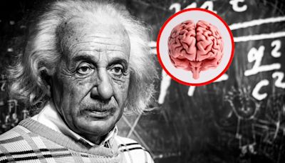 ¿Quién se robó el cerebro de Albert Einstein? Fue un acto macabro