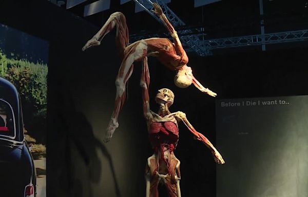 ‘BODY WORLD' exhibit at Science Museum of Virginia explores mind-body connection to happiness