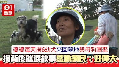 超感動！婆婆每天揹6幼犬去墓園 背後原因極催淚 網民：好偉大