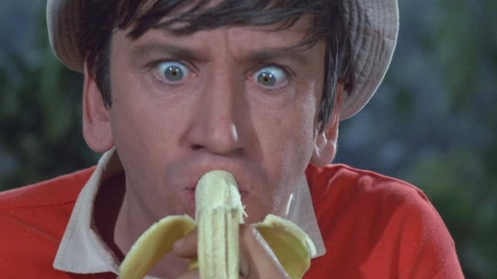 Gilligan's Island Creator Set The Record Straight On A Rumor Over The Show's Origin - SlashFilm