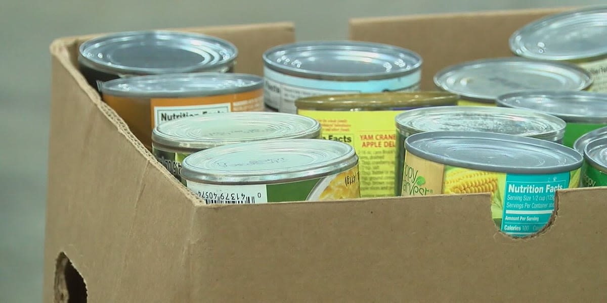 Alabama school districts launch summer feeding programs as report shows more children dealing with food insecurity