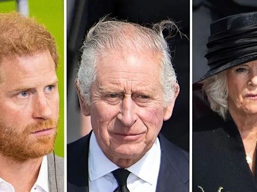 King Charles Will 'Never Get Past' Prince Harry 'Berating' Queen Camilla in 'Spare': Source