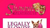Legally Blonde Jr. (The Musical) in Philadelphia at The Shawnee Playhouse 2024
