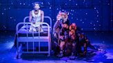 ‘Life of Pi’ Broadway Review: When You’re Lost at Sea With a Hungry Tiger