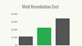 How Much Does Mold Remediation Cost?