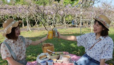 季節限定「紫藤花假期」 淡水福容大飯店帶你去紫藤花園享用早午餐 - 自由藝文網