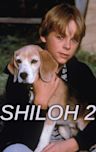 Shiloh 2: Shiloh Season