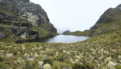 Colombia no tendrá que pagar más de 1.000 millones de dólares a minera canadiense por el páramo de Santurbán