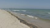 Un vertido contaminante afecta a 2 kilómetros de longitud en las playas del Saler - MarcaTV