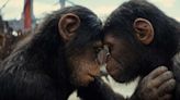 Kingdom of the Planet of the Apes First Reactions: “Phenomenal”, “Astonishing” and “Very Entertaining”