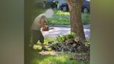 Topeka police warn residents of tree scammers