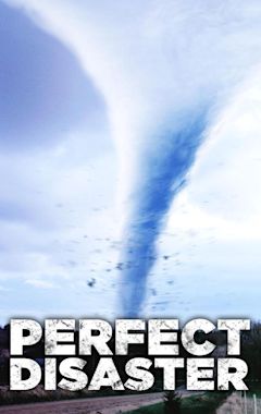 Perfect Disaster