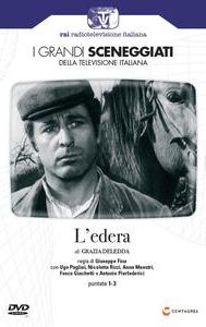 L'edera