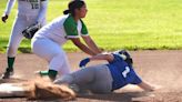 Napa Valley High School Softball: Wildcats look to take big leap after 2-win season