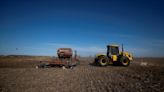 Temperaturas heladas agravan estado del trigo en núcleo agrícola de Argentina