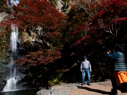 【太想聊日本】捨高求低日人流行爬「低山」 除有益健康、更適合這群人