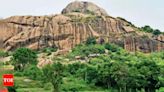 Changing Ramanagara to 'Bengaluru South': New name to fuel growth or rob district of its identity? | Bengaluru News - Times of India