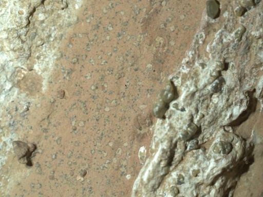 La NASA halla una "intrigante roca" en Marte con restos de posible vida microbiana hace miles de millones de años