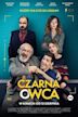 Czarna owca