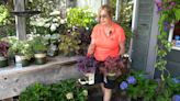 Gardening Update: Shade Gardening with Carol Watson Greenhouse
