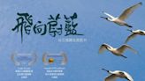 台江鳥類生態影片《飛向蔚藍》榮獲2項國際大獎 | 蕃新聞