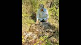 Capturan 500 libras de pitones durante sus rituales de apareamiento en un pantano de Florida