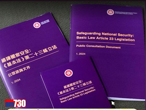 23條立法︱稱無意不合理限制新聞自由 林定國：不論批評政府有多尖銳