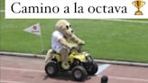 Los MEJORES MEMES del agónico triunfo en penales de Pumas en Pachuca