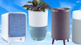 10 Good-Looking Air Purifiers That Won’t Be An Eyesore In Your Home