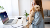 10 Tips To Help Your Clingy Pet Be More Independent