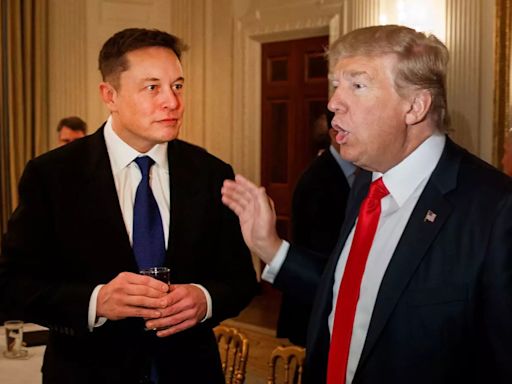 'If Trump Is Not Elected, This Will Be Last Election...': Elon Musk's Big Claim For US Presidential Polls