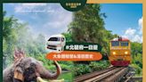 【北碧府一日遊包車】桂河大橋、死亡鐵路、大象體驗營 歷史與生態之旅