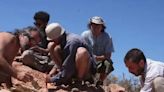 Paleontólogos hallan restos de un gliptodonte