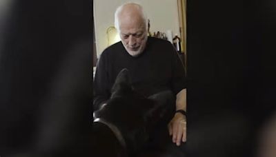 Pink Floyd: David Gilmour’s dog dances in video announcing singer’s new album