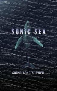 Sonic Sea