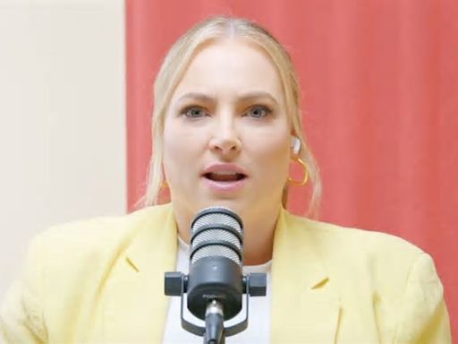 Instead Of Blasting The View, Meghan McCain Took Aim At Drew Barrymore For Kamala Harris Interview: 'Someone Needs To Talk To Her'