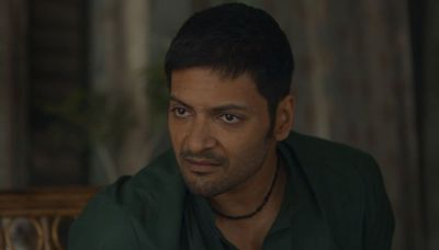 Mirzapur Season 3 review: The battle rages but the show treads water | Mint