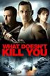 What Doesn't Kill You (film)