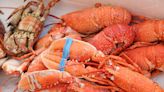 Lobster is more affordable than you might think