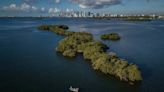 For sale: Unspoiled island in Biscayne Bay. Will it be a home for birds or billionaires?