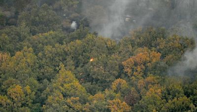 WWF alerta de fallos crónicos en el plan griego antiincendios tras el desastre del pasado verano