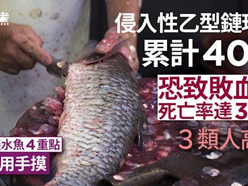 乙型鏈球菌｜感染累計40宗2人亡！處理淡水魚4重點 現2症狀即求醫