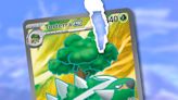 Pokemon TCG players slam hilarious “not mint” listing - Dexerto