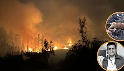 Incendios forestales arrasan en cinco regiones del Perú: un fallecido, pérdida de cultivos y animales, y varias casas destruidas