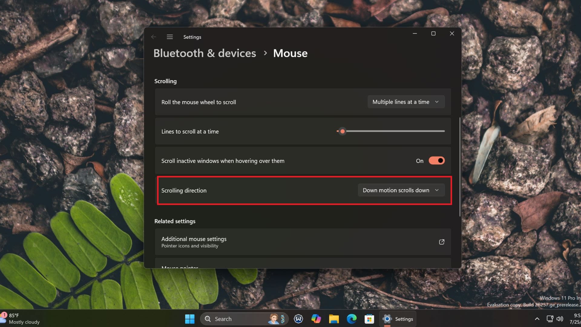 Windows 11 24H2 lets you easily adjust the mouse scroll wheel direction