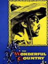 The Wonderful Country (film)