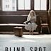 Blind Spot (film 1981)